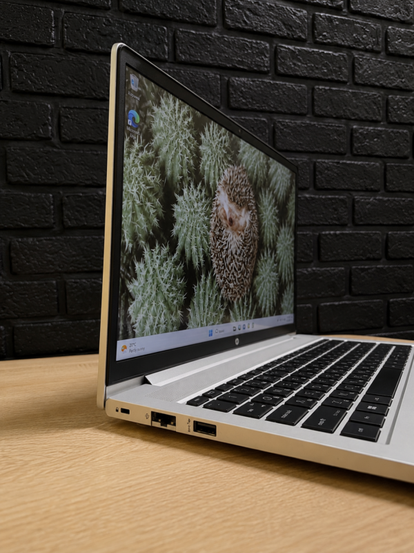 HP ProBook 450 G9 / i5-1235U / 16GB / 256GB / Iris Xe — фото 4