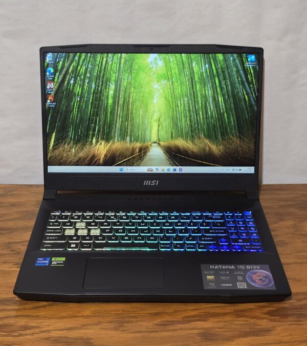 MSI Katana 15 B13VEK