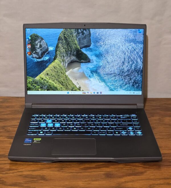 MSI Thin 15 B13VF