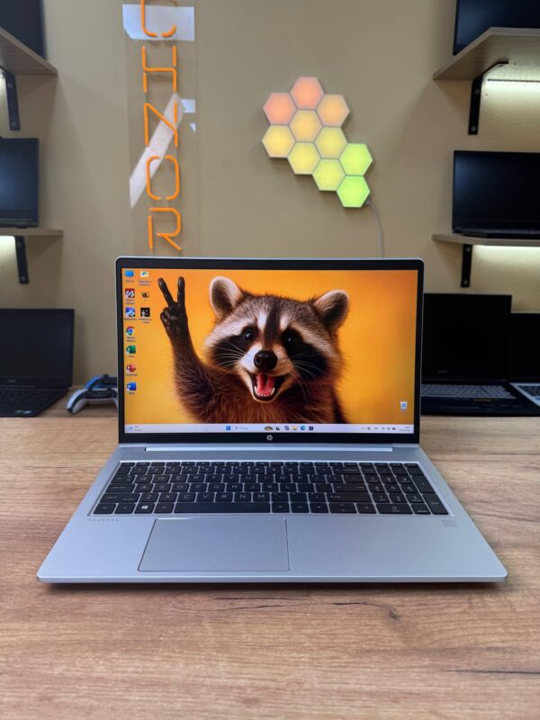 HP ProBook 455 G8