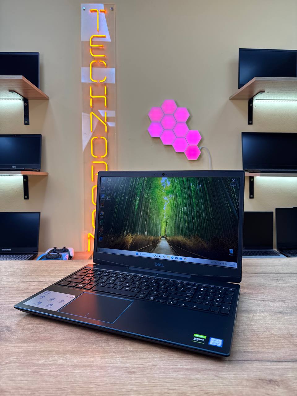 Dell G3 15 / i5-9300H / GTX 1660 TI / 16GB / SSD 512GB / 60Hz — фото 6