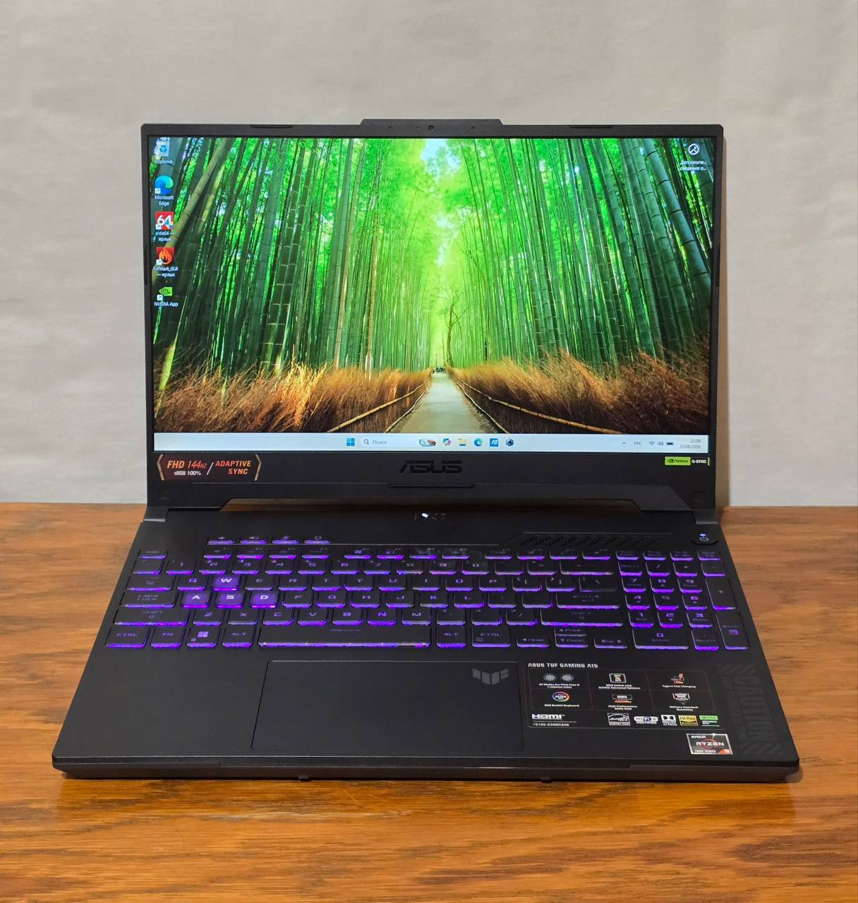 ASUS TUF A15 / Ryzen 5 7535HS / RTX 4060 / 16GB / SSD 500GB / 144Hz