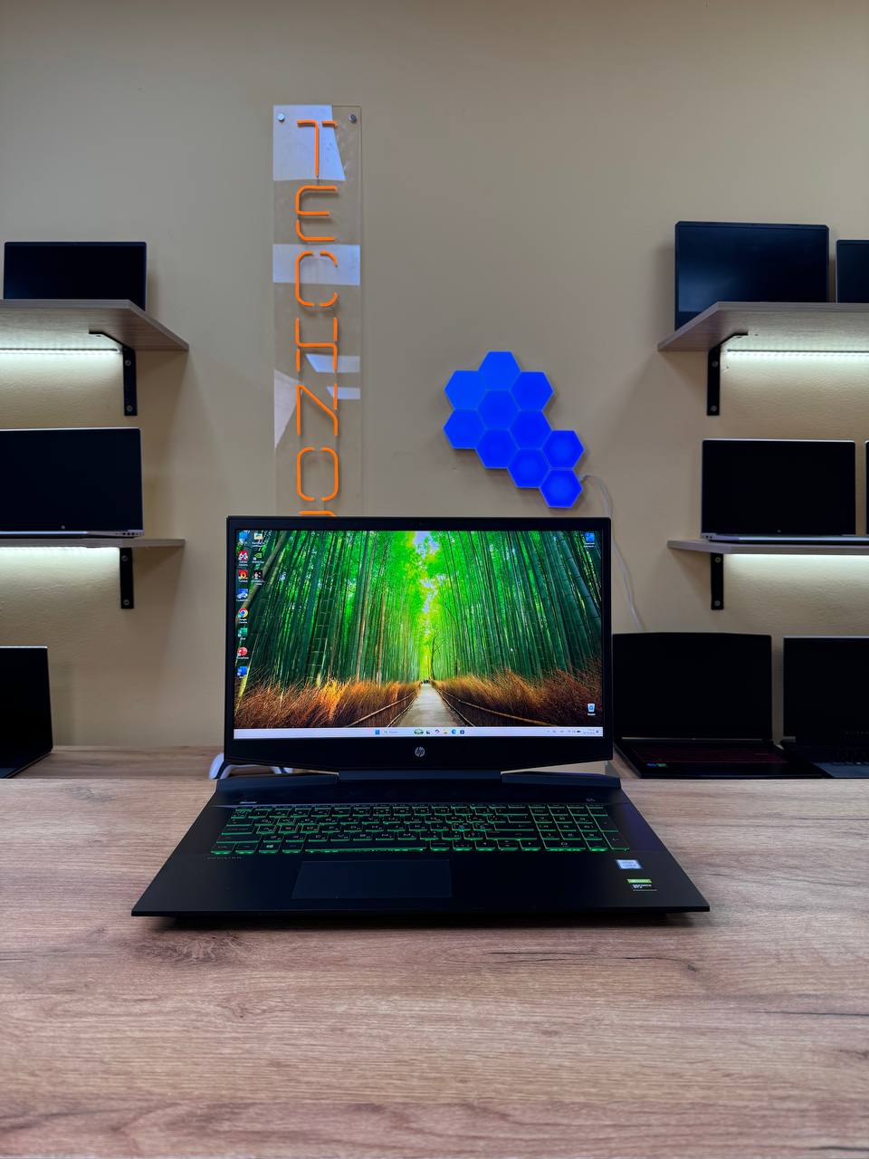 HP Pavilion 17 / i5-9300H / GTX 1650 / 12GB / SSD 256GB / 60Hz