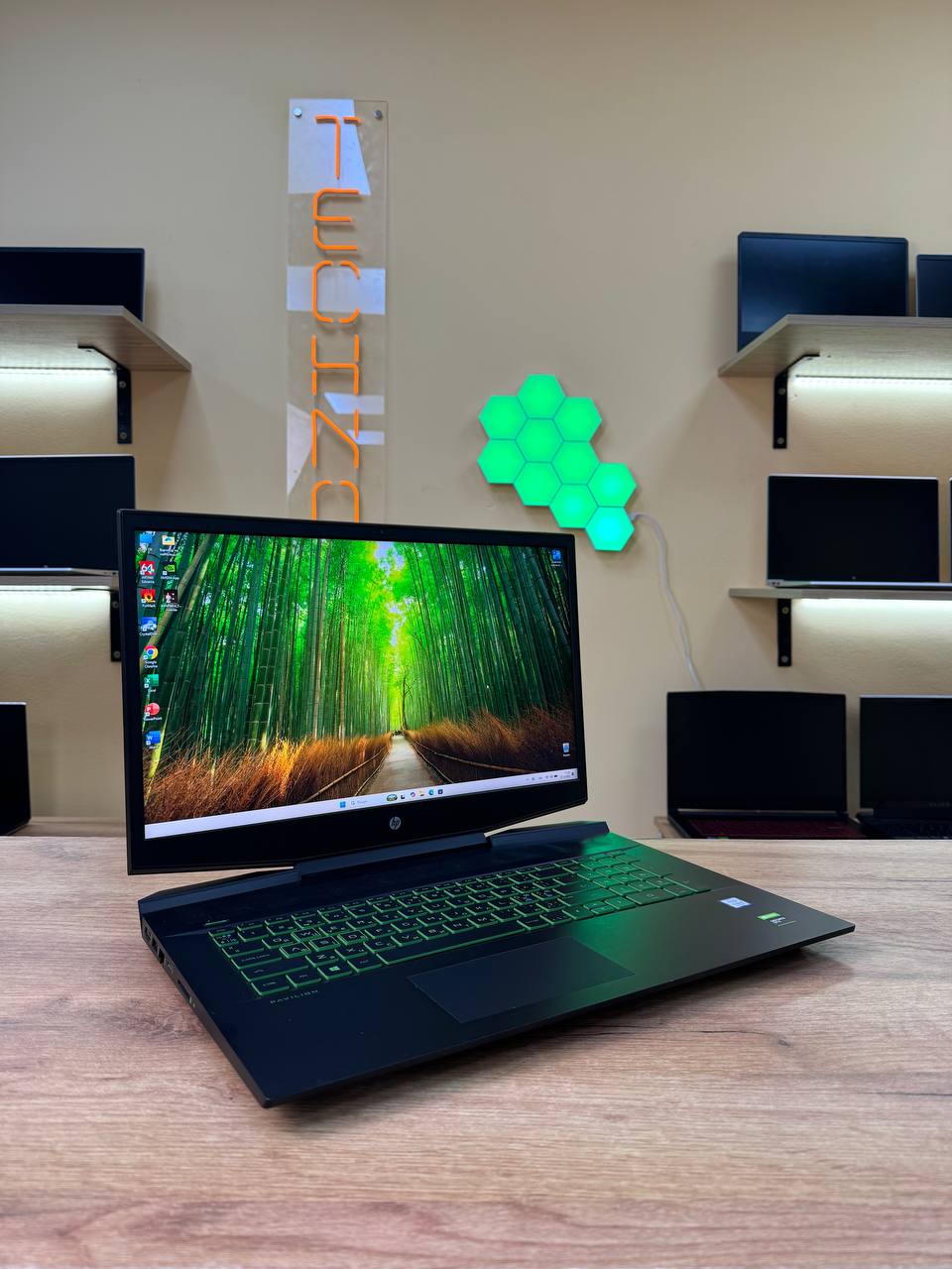 HP Pavilion 17 / i5-9300H / GTX 1650 / 12GB / SSD 256GB / 60Hz — фото 2